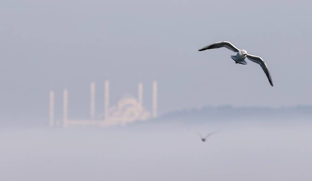İstanbullular bu uyarıya kulak verin: Son derece riskli! Her yıl 44 bin kişi bu nedenle hayatını kaybediyor 11